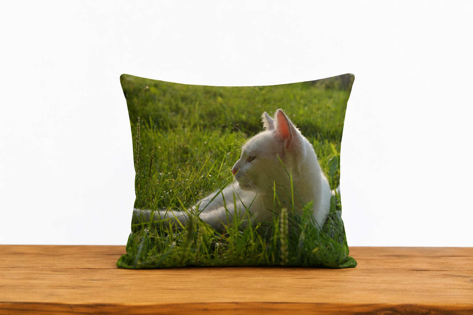 Cushion