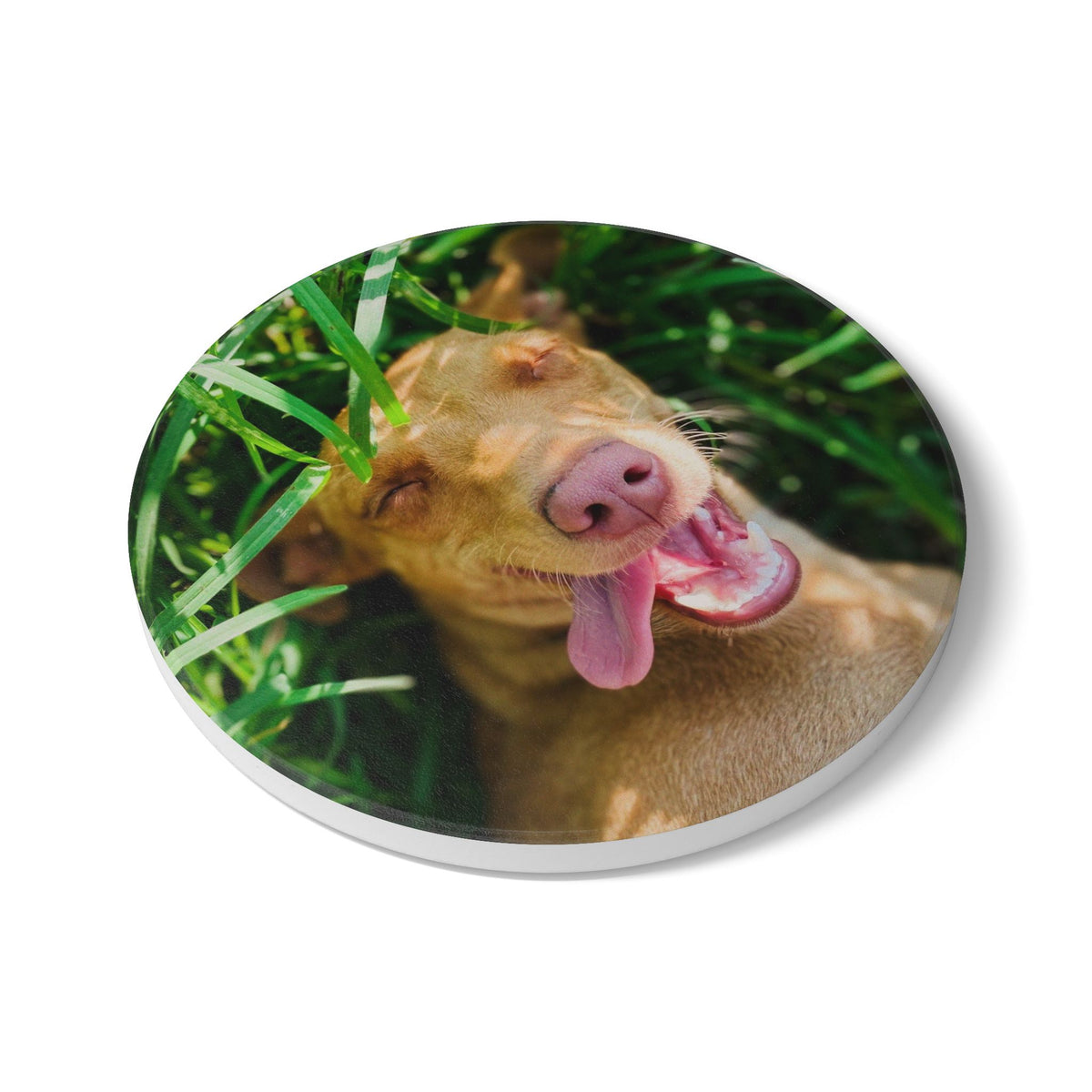 Ceramic Coaster