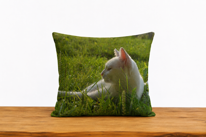 Cushion