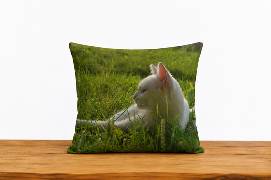 Cushion