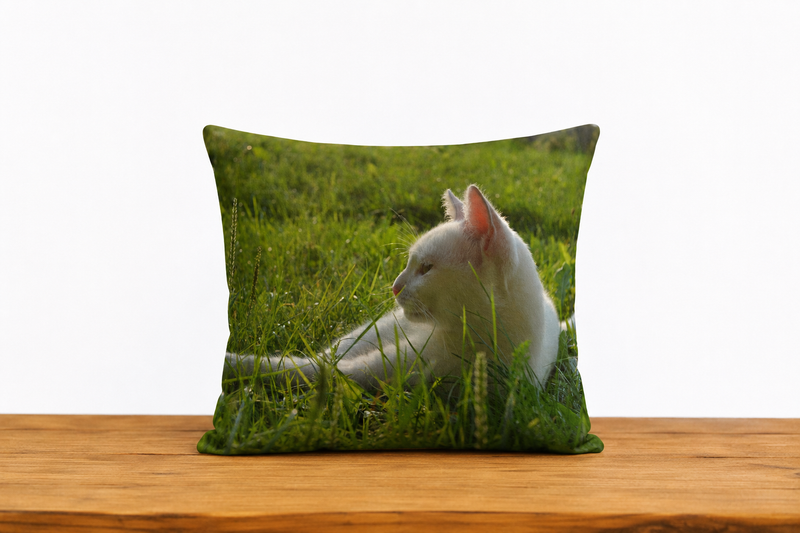 Cushion